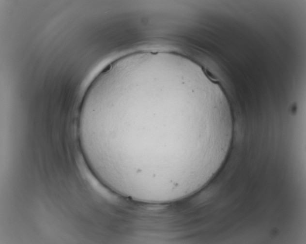 X0000115171484200911251322