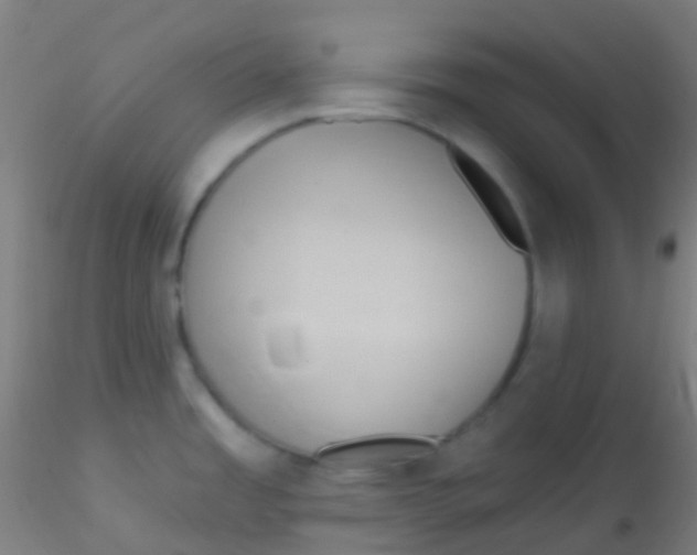 X0000115171485200911251322