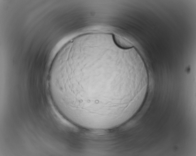 X0000115171486200911251322