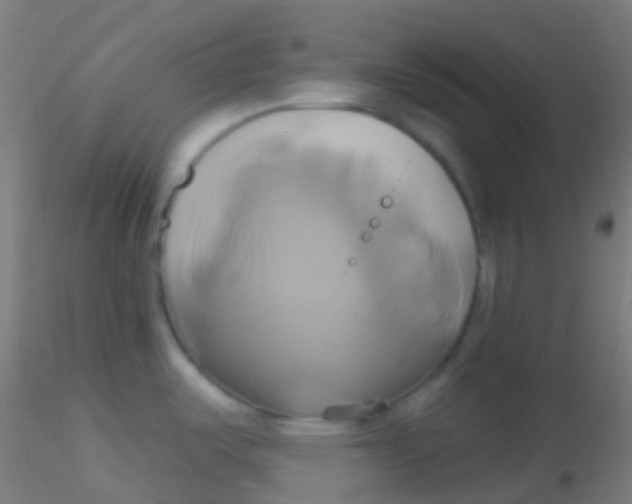 X0000115171487200911251322