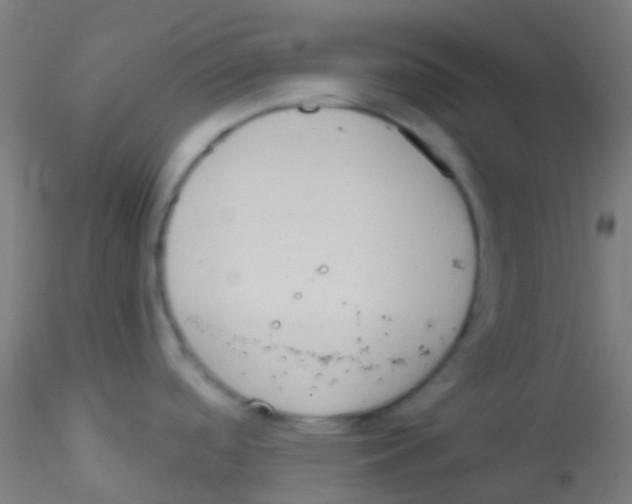 X0000115171488200911251322