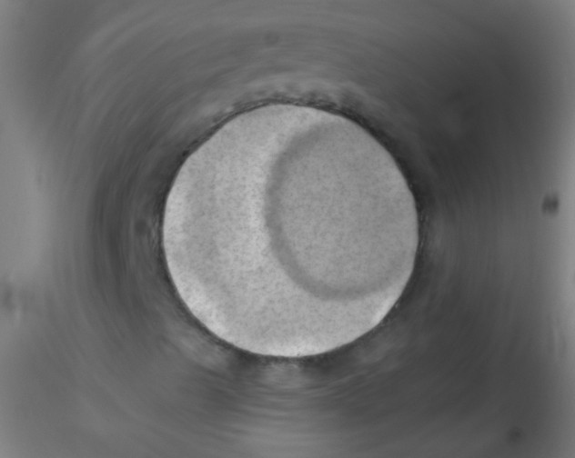 X0000115171489200911251321