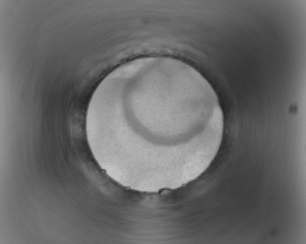 X0000115171490200911251321