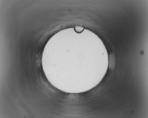 X0000115171491200911251321