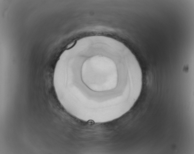 X0000115171493200911251321