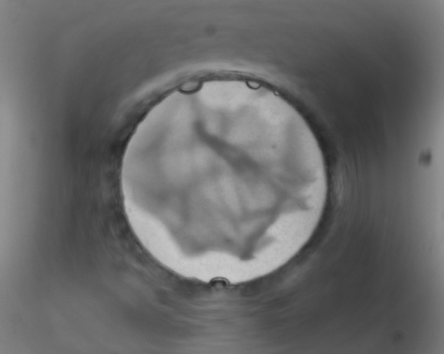 X0000115171494200911251321