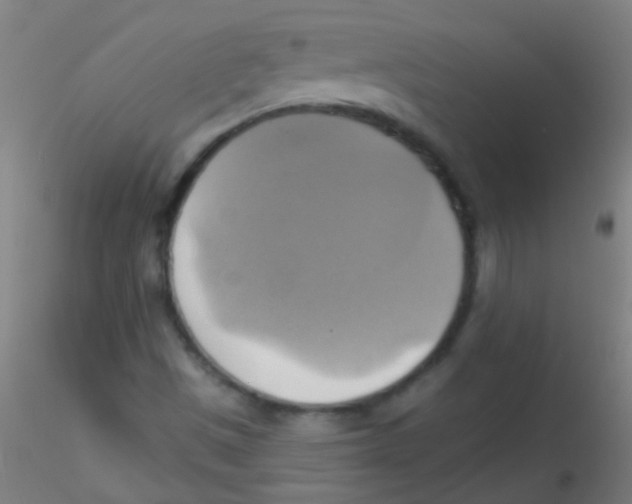 X0000115171497200911251321