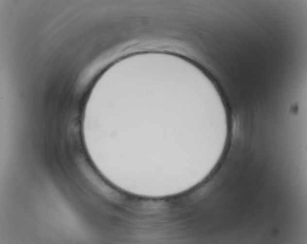 X0000115171498200911251321