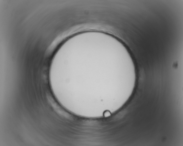 X0000115171499200911251321