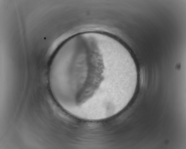 X0000115171501200911251321