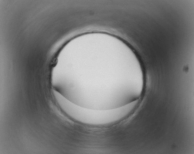 X0000115171502200911251321