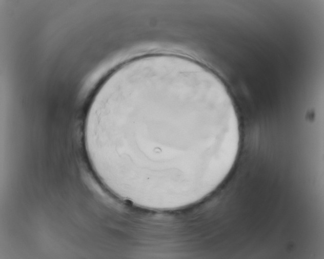 X0000115171503200911251322