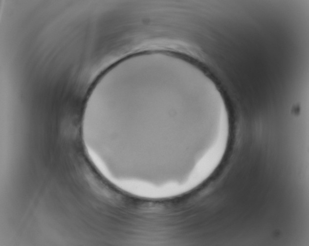 X0000115171505200911251322