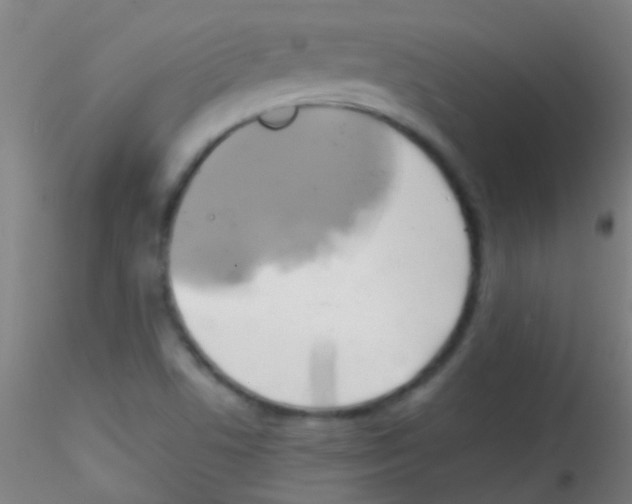 X0000115171506200911251322