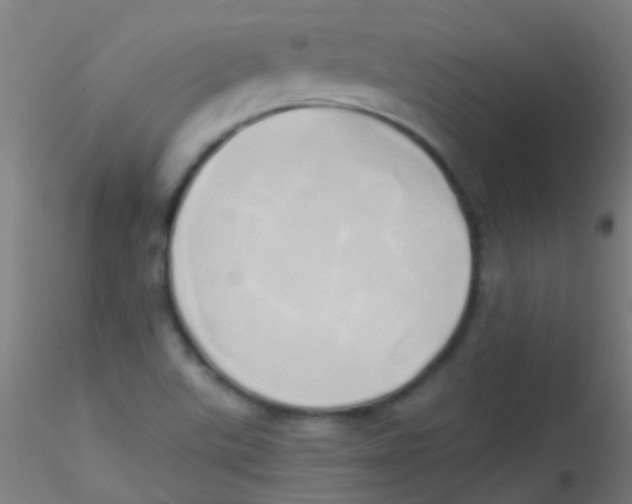 X0000115171507200911251322