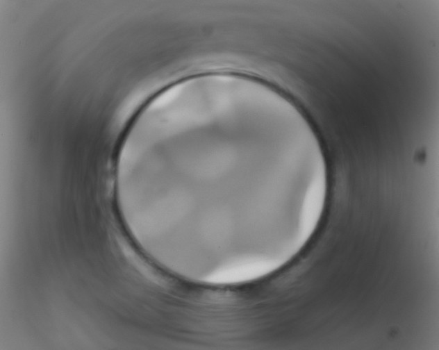 X0000115171509200911251322