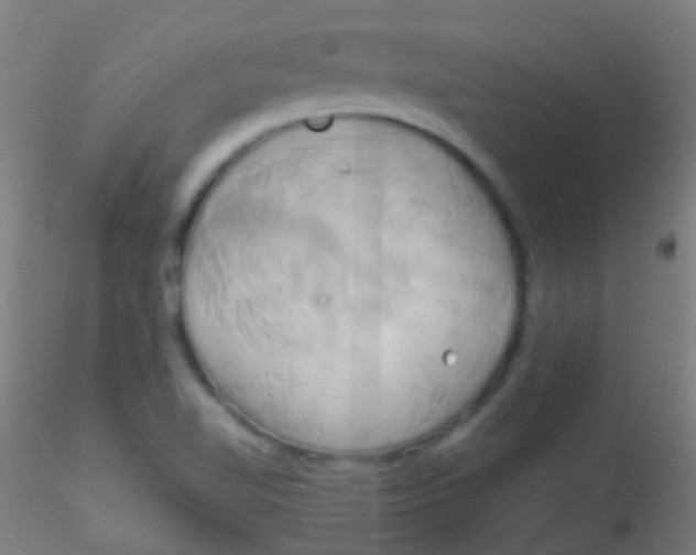 X0000115171510200911251322