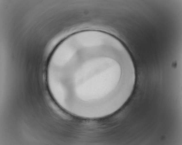 X0000115171511200911251322