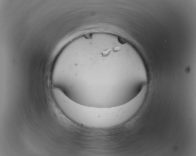 X0000115171514200911251322