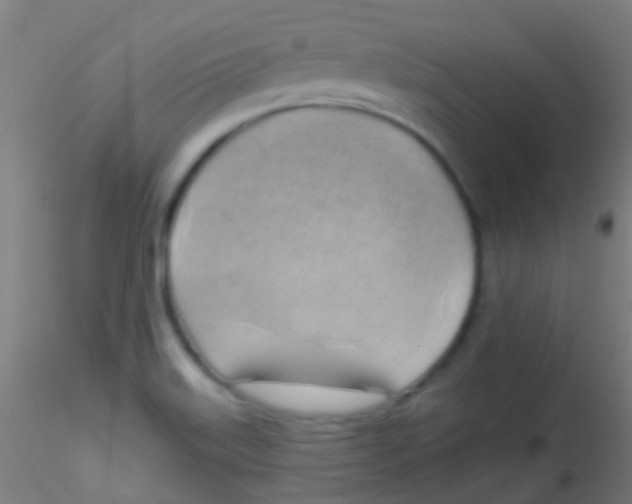 X0000115171515200911251322