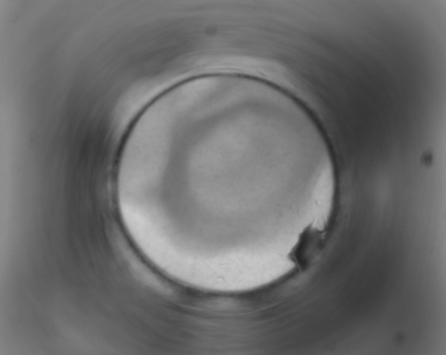 X0000115171517200911251322