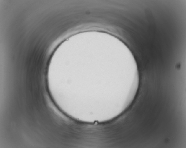 X0000115171518200911251322