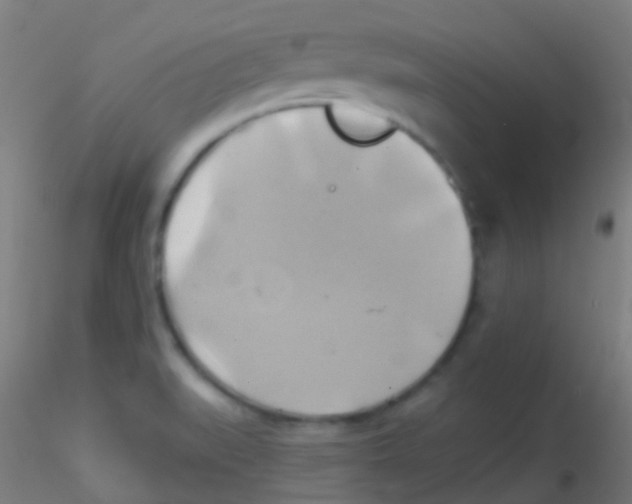 X0000115171519200911251322