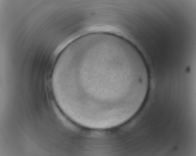 X0000115171521200911251322