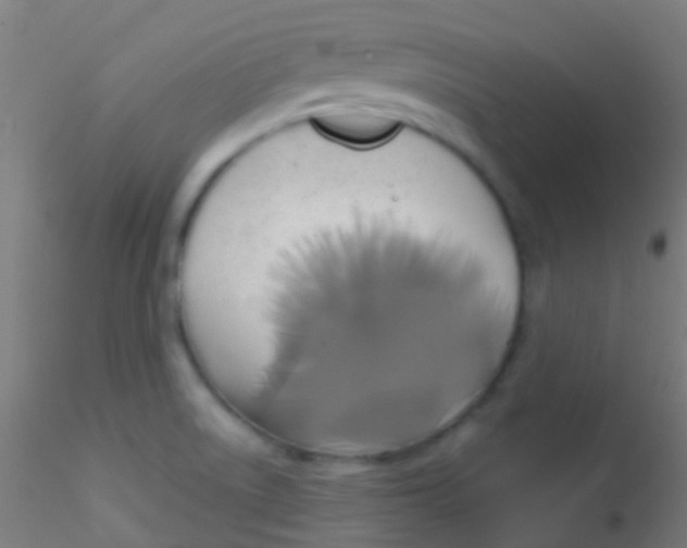 X0000115171522200911251322