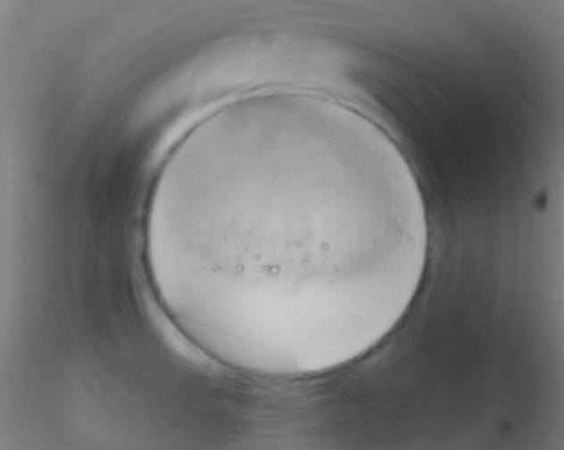 X0000115171523200911251322