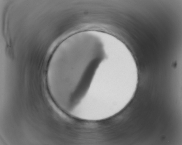 X0000115171525200911251322