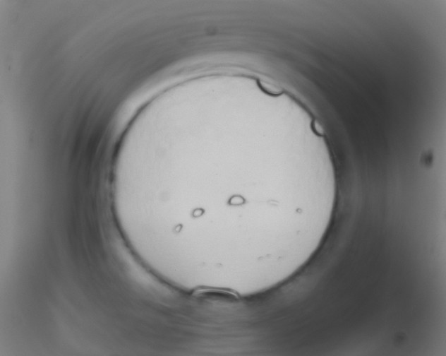 X0000115171526200911251322