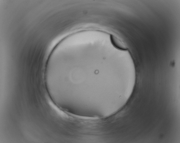 X0000115171527200911251322