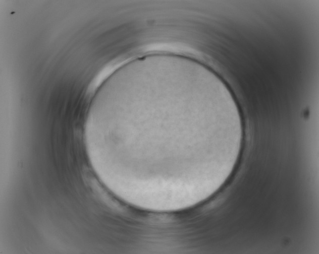 X0000115171529200911251322