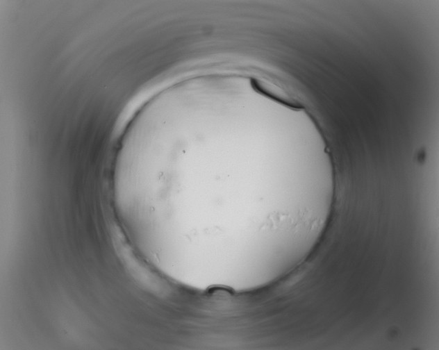 X0000115171530200911251322