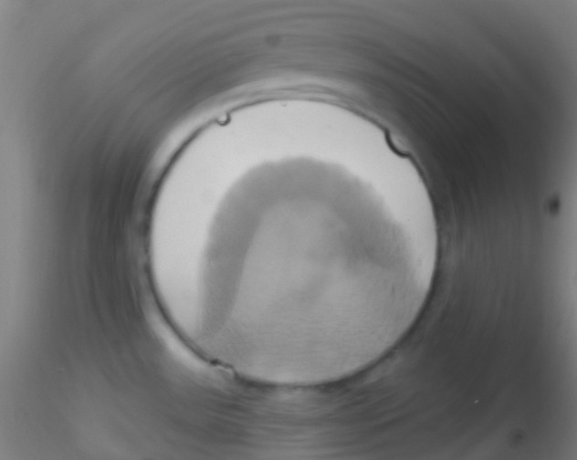 X0000115171531200911251322