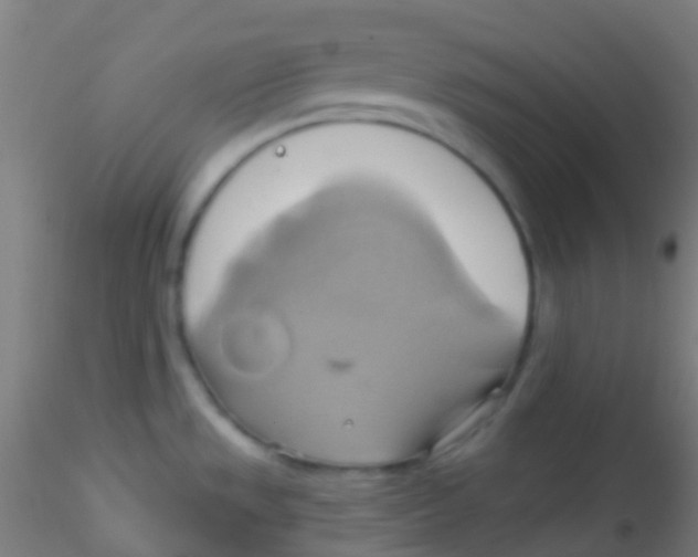 X0000115171533200911251322