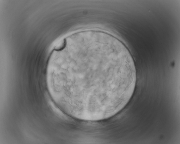 X0000115171534200911251322