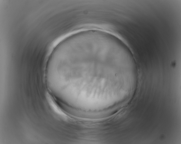 X0000115171535200911251322