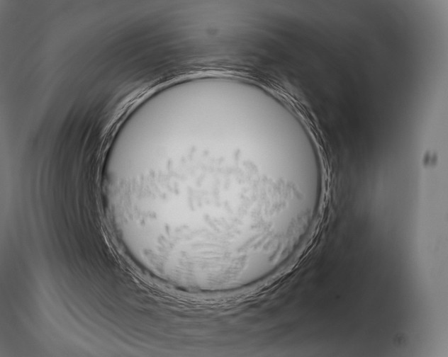 X0000115170001200912091034