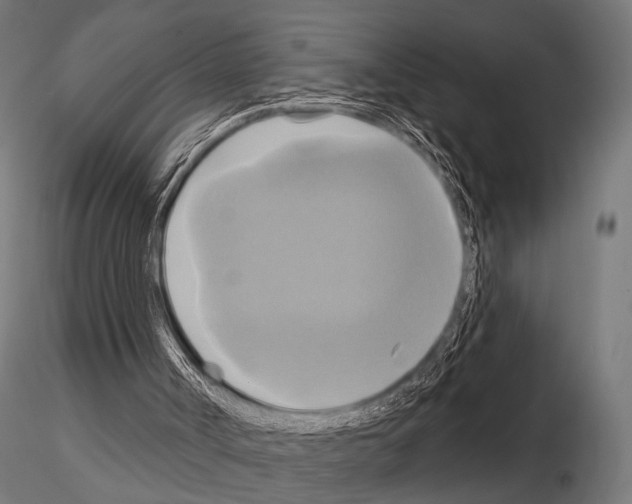 X0000115170002200912091034