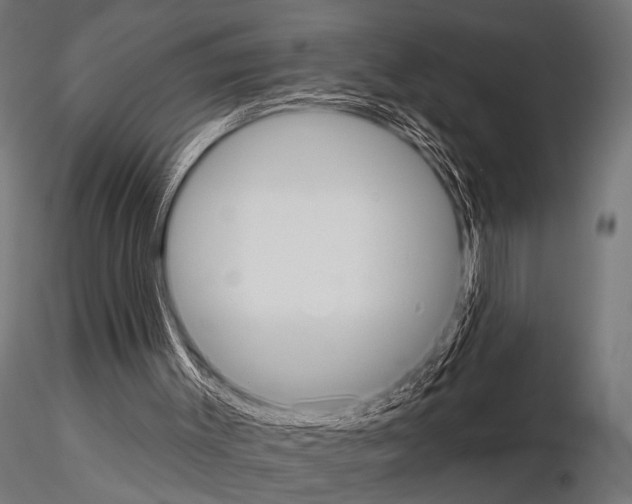 X0000115170003200912091034