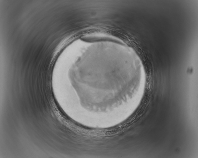 X0000115170004200912091034