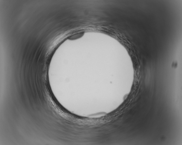 X0000115170005200912091034