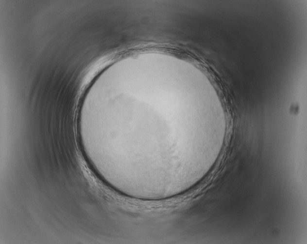 X0000115170006200912091034