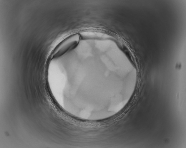 X0000115170008200912091034