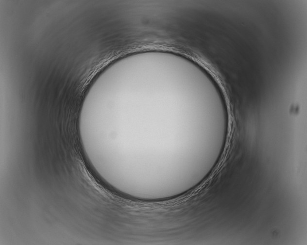 X0000115170009200912091034