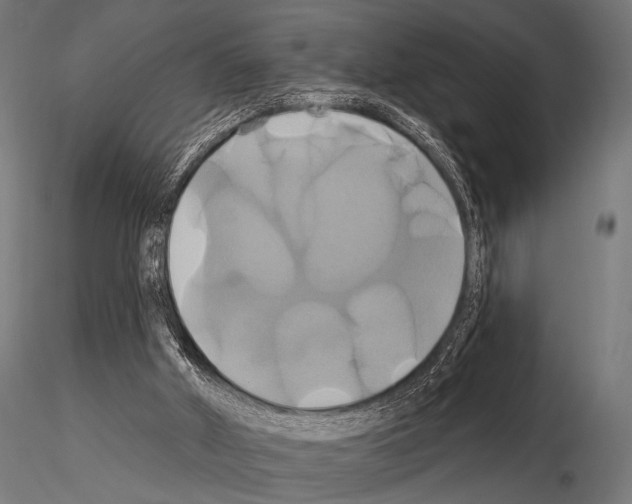 X0000115170010200912091034