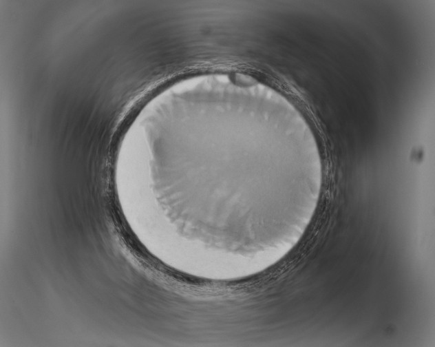 X0000115170012200912091034