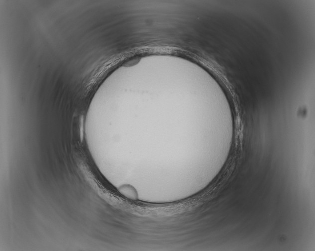 X0000115170013200912091034